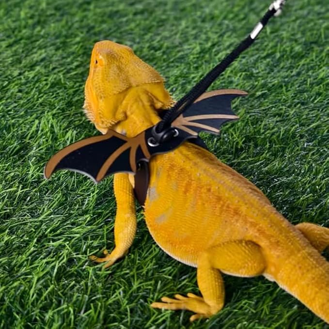 Bearded Dragon Leash - 3 Sizes Pack Reptile Outing Leather Wing Harness for Bearded Dragon Lizard Reptiles (Gold) HOKABLE