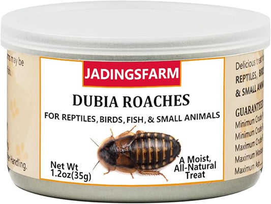 6 Pack Canned Dubia Roaches for Reptiles, Fish, Birds and Small Animals, Dubia Roaches, Healthy High Protein Treat, Reptile Bird Fish Food 7.2 Ounces Total Jadingfarm