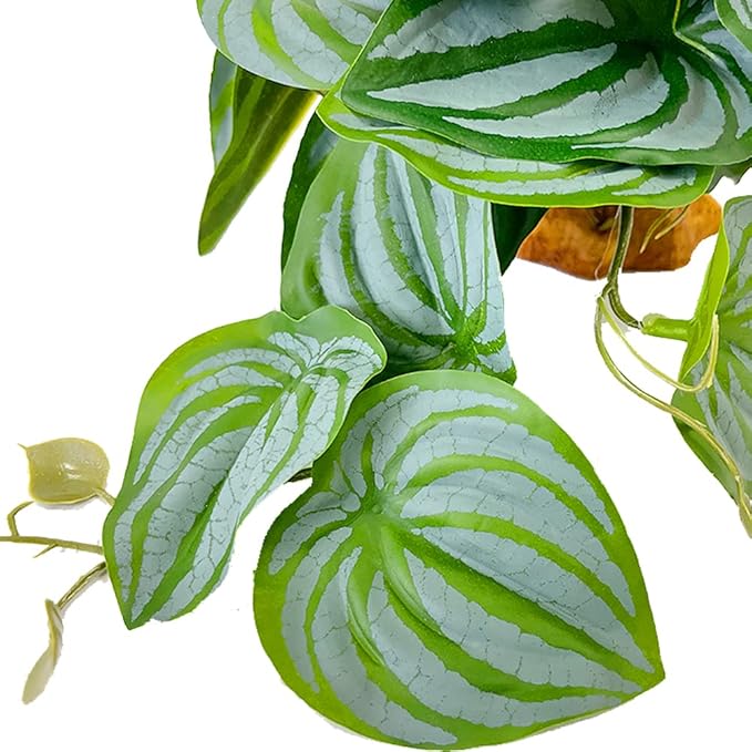 YOGURTCK Reptile Artificial Plants, Amphibian Habitat Hideout, Terrarium Decorations - Peperomia Watermelon YOGURTCK