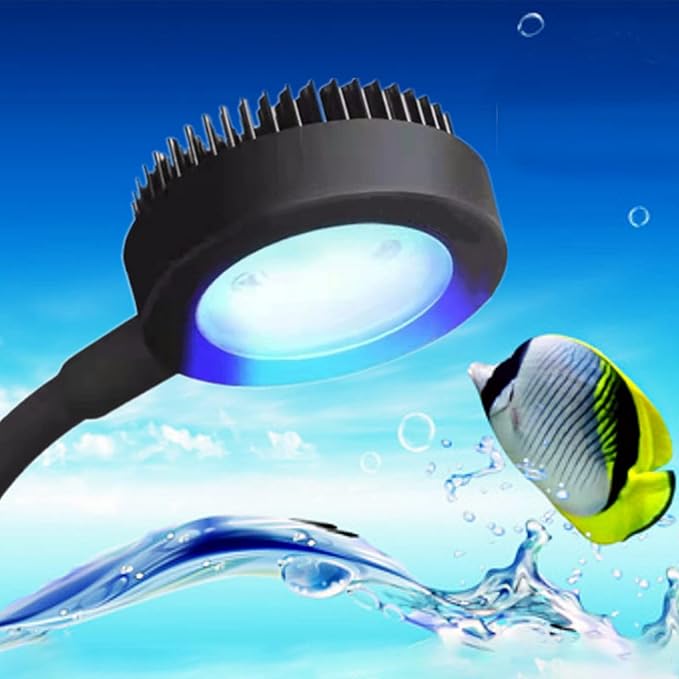 Full Spectrum Aquarium Light, Small Clip Light for Fish Tank with 2 Blue 10 White LED, 5W Brightness, for 3-5mm Thick (Black) BigTron