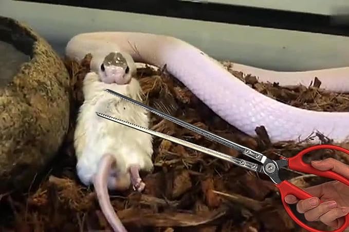 Snake Feeding Tongs, Ball Python Tank Accessories Supplies fit Corn Snakes WOLEDOE