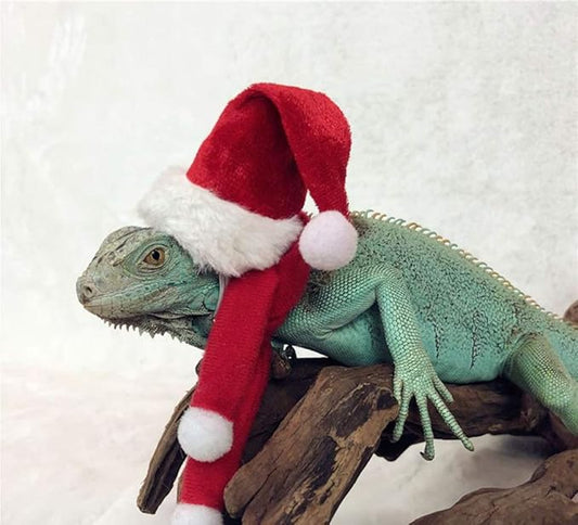 HAICHEN TEC Lizard Clothes for Bearded Dragons Christmas Hat Scarf Set Reptile Apparel Handmade Flannel Clothes HAICHENTEC