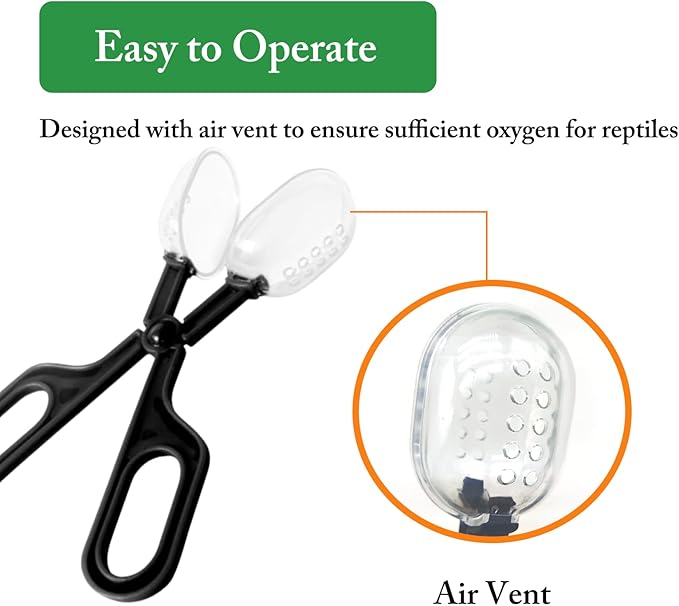 5Pcs Reptile Supplies Set, Include a Reptile Feeding Tongs, Two Stainless Steel Tweezers, Mini Dustpan, Brush and Leave for Hamsters, Turtle, Chameleon, Snake, Spider and Other Small Animals PHYPOBLE