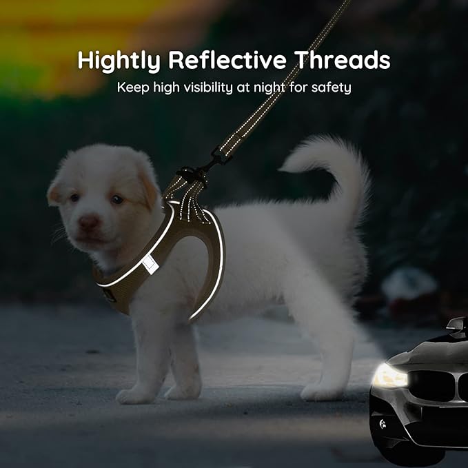 BELLA & PAL Puppy Harness with Leash Set, Dog Harness for Small Dogs No Pull, Dog Leash for Small Dogs, Step in Harness for Extra Small Dogs, Khaki Harness, XS BELLAPAL