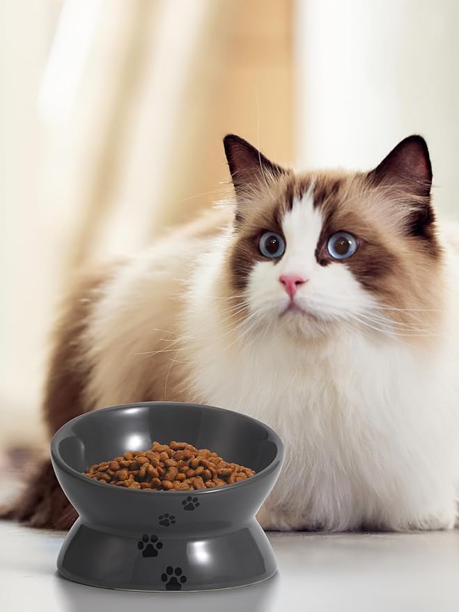 Y YHY Raised Cat Food Bowl, Ceramic Elevated Cat Bowl, Title Angle Protect Cat's Spine, Anti Vomiting Cat Dish, Backflow Prevention, Grey - PAWPICO