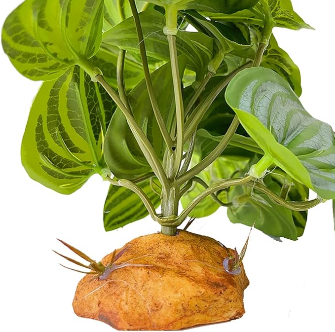 YOGURTCK Reptile Artificial Plants, Amphibian Habitat Hideout, Terrarium Decorations - Peperomia Watermelon YOGURTCK