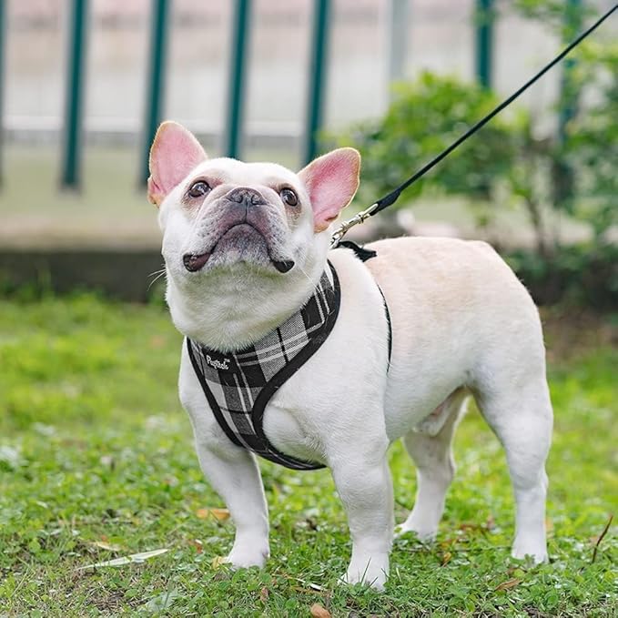 PUPTECK Soft Mesh Dog Harness and Leash Set Pet Puppy Cat Comfort Padded Vest No Pull Harnesses, Black&White, M PUPTECK