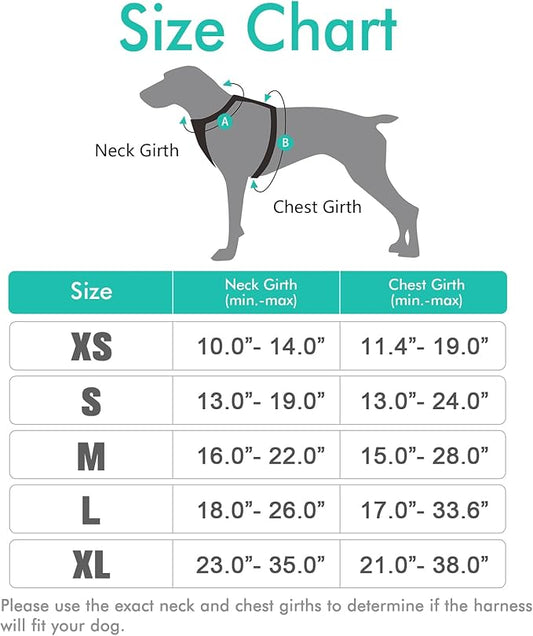rabbitgoo Dog Harness, No-Pull Pet Harness with 2 Leash Clips, Adjustable Soft Padded Dog Vest, Reflective No-Choke Pet Oxford Vest with Easy Control Handle for Large Dogs, Black & Turquoise, X-Small - PAWPICO