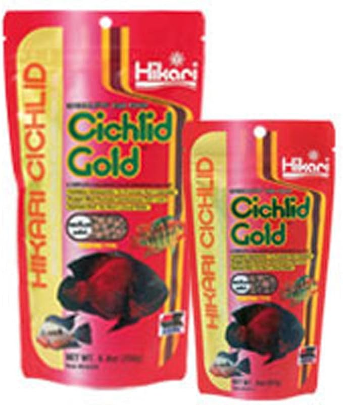 Hikari 8.8-Ounce Cichlid Gold Floating Pellets for Pets, Mini Hikari