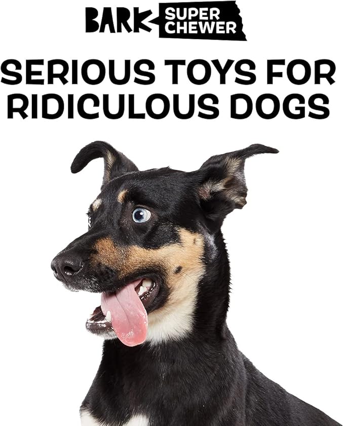 Barkbox Super Chewer Tough Dog Chew Toys for Aggressive Chewers, Dental Stimulating (Turkey - Small) - PAWPICO