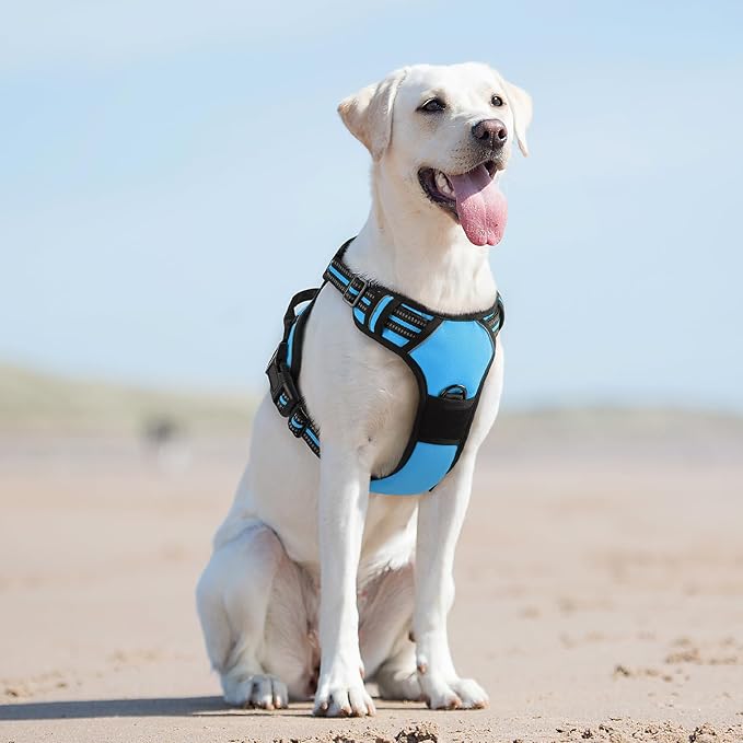 Eagloo Dog Harness for Large Dogs, No Pull Service Vest with Reflective Strips and Control Handle, Adjustable and Comfortable for Easy Walking, No Choke Pet Harness with 2 Metal Rings, Sky Blue, L GoExplorewithEagloo