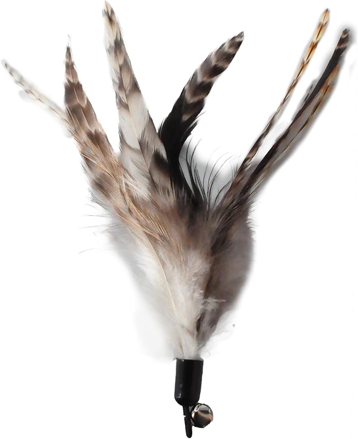 Cat Toys - No Chemical Dyeing Cat Feather Toys for Indoor Cats - Include Cat Wand and Natural Feather Refills - PAWPICO