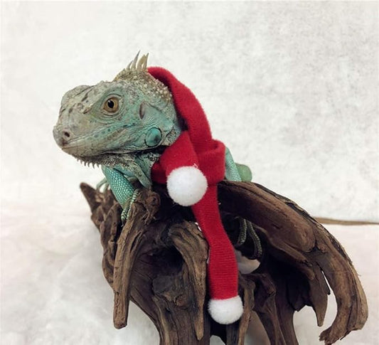 HAICHEN TEC Lizard Clothes for Bearded Dragons Christmas Hat Scarf Set Reptile Apparel Handmade Flannel Clothes HAICHENTEC