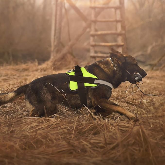 Bolux Dog Harness, No-Pull Reflective Dog Vest, Breathable Adjustable Pet Harness with Handle for Outdoor Walking - No More Pulling, Tugging or Choking (Green, M) Bolux