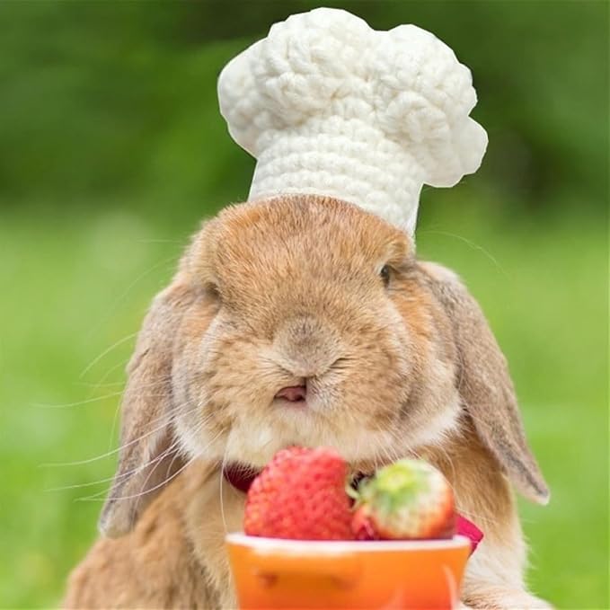 Guinea Pig Chef Hat - Hand Knitted Small Animal Cooking Chef Cap with Adjustable Strap Halloween Costume Outfit Prop Clothes Accessories for Rabbit Bunny Chinchilla Kitten Puppy (Medium) SEZDEKI