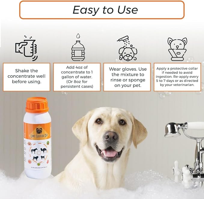 Classic's Lime Sulfur Dip - Pet Care for Itchy and Dry Skin - Xtra Strength Formula - Safe Solution for Dog, Cat, Puppy, Kitten, Horse (16 fl oz) HealthyPawLife