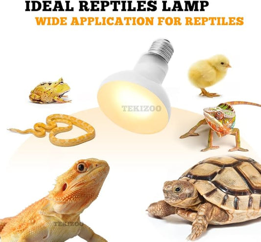 Heat Lamp Bulbs Reptile Basking Light Spot Daylight for Bearded Dragon,Lizard,Tortoise,Amphibian 75W(2 Pack) TEKIZOO