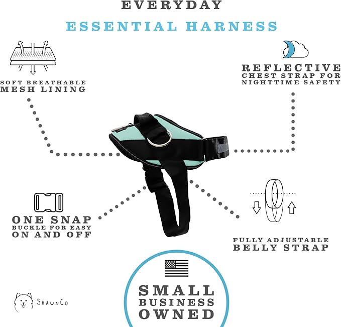 ShawnCo Essential Dog Harness, No-Pull Pet Vest with 3 Leash Clips, No Choke, Reflective, Adjustable and Padded, for Easy Walking and Training for Small, Medium and Large Dogs (Seafoam, XS) SHAWNCO