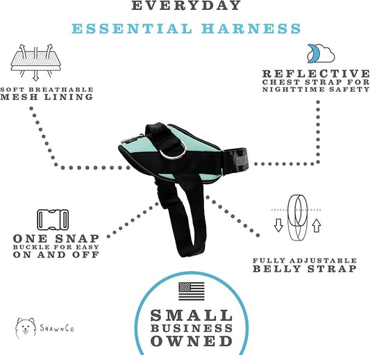 ShawnCo Essential Dog Harness, No-Pull Pet Vest with 3 Leash Clips, No Choke, Reflective, Adjustable and Padded, for Easy Walking and Training for Small, Medium and Large Dogs (Seafoam, S) SHAWNCO
