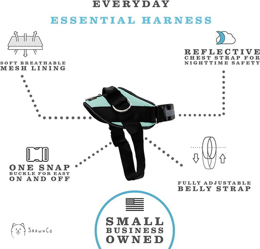 ShawnCo Essential Dog Harness, No-Pull Pet Vest with 3 Leash Clips, No Choke, Reflective, Adjustable and Padded, for Easy Walking and Training for Small, Medium and Large Dogs (Seafoam, XL) SHAWNCO