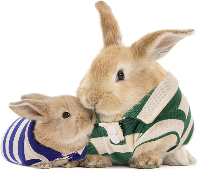 2 Pack Guinea Pig Clothes Rabbit Summer T-Shirt Pet Costume Vest for Small Animal Kitten Ferret Chihuahua Puppy KAMABRIDAL