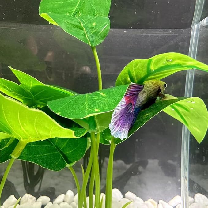 Smoothedo-Pets Fish Tank Decor Aquarium Decorations Ornaments Betta Leaf pad Hammock 6inch Plastic Artificial Plant Goldfish Fish Hides Small Tank/Reptiles Plants Driftwood (Green-Type-A) EnvironmentFriendlyArtificialPlasticPlantAquariumDecoration