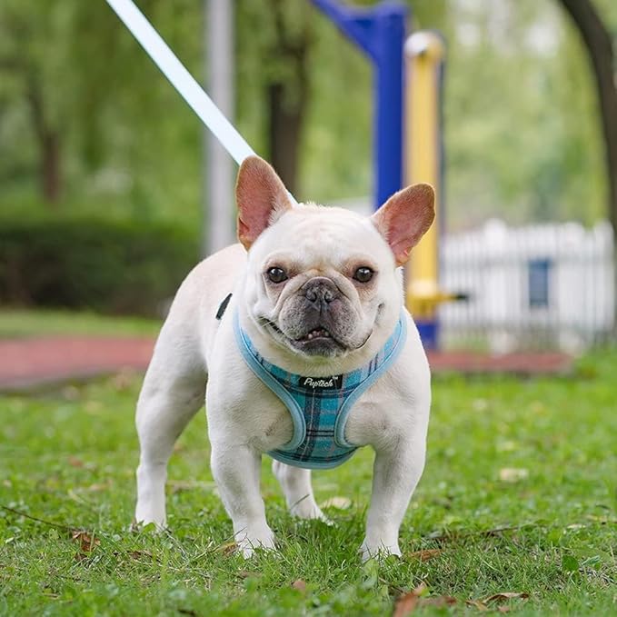 PUPTECK Soft Mesh Dog Harness and Leash Set Pet Puppy Cat Comfort Padded Vest No Pull Harnesses, Light Blue, L PUPTECK