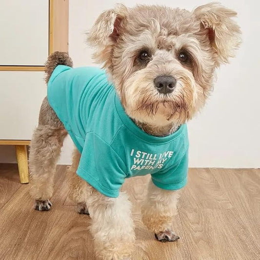 Cute Dog Clothes,Dog T Shirt for Medium Dogs.Dog Clothes for Small Dogs Girl Boy,Puppy.Breathable Soft Dog Costume Pet Dogs Cats,Pet Pullover Jumper,Cat Clothes (M-(7~11lb), Chest~16", Aqua) - PAWPICO