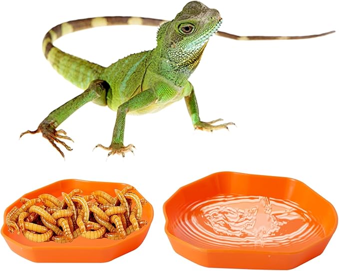 4 Pack Reptile Food Dish Bowl, Plastic Worm Water Dish Plate for Lizard Gecko Bearded Dragon Chameleon, Green and Orange, 2 Sizes COMSUN