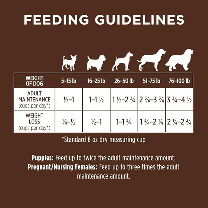 Instinct Be Natural Real Beef & Barley Recipe Natural Dry Dog Food, 25 lb. Bag - PAWPICO