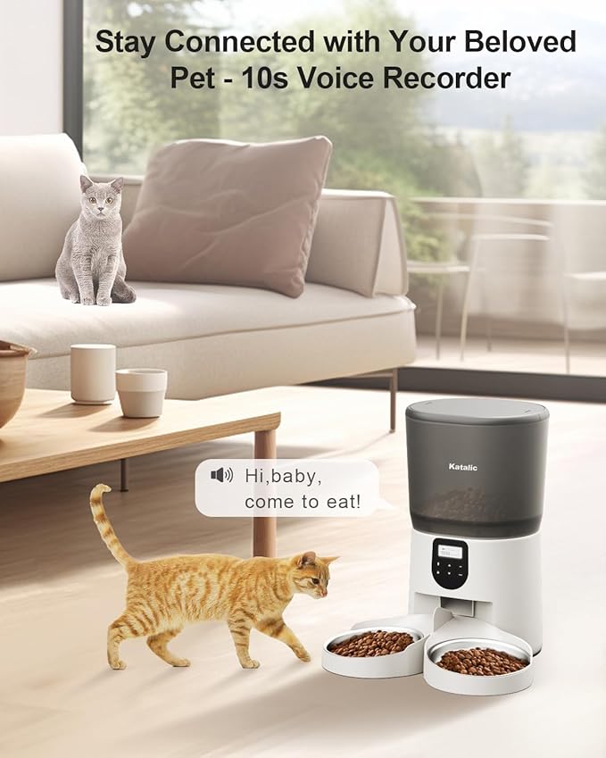 Automatic Cat Feeder for 2 Cats, 6L/25Cups Cat Food Dispenser with 2 Stainless Bowls, Pet Feeder with Timer Setting 20 Portions 4 Meals Per Day for Cats and Dogs, Dual Power Supply 10s Meal Call - PAWPICO