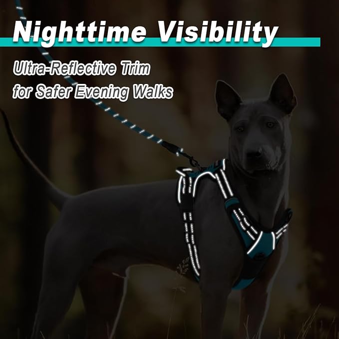 BARKBAY No Pull Pet Harness Dog Harness Adjustable Outdoor Pet Vest 3M Reflective Oxford Material Vest for blue Dogs Easy Control for Small Medium Large Dogs (XL) BARKBAY