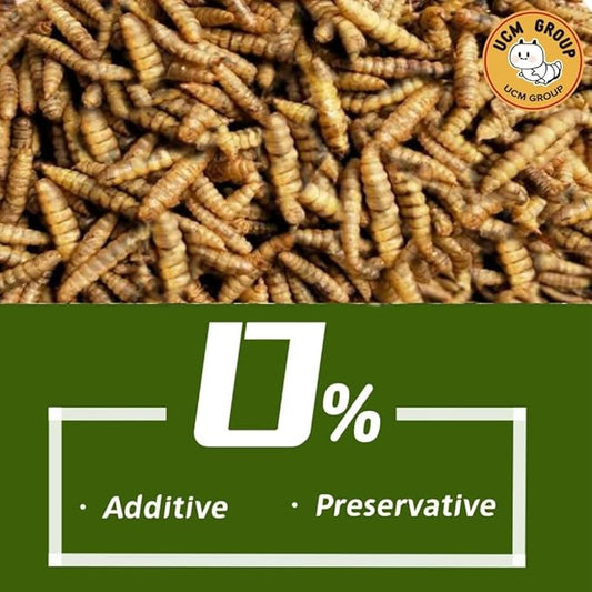 UCM Group 20LB Dried Black Soldier Fly Larvae for Chicken, Poultry, Wild Birds,100% Natural Non-GMO, No Additives, Treat, More Calcium Chicken Treats Than Mealworms, 4 Packs UCMGroupUCMGroup