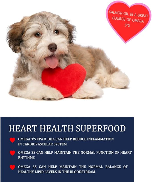 32 oz Wild Alaskan Salmon Oil Formula - Balanced Blend of Pure Fish Oils, with EPA and DHA from Wild-Caught Fish, Support for Skin & Coat, Immune & Heart Health, and Joints KODIAKNATURALSSALMONOIL