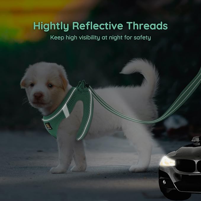 BELLA & PAL Puppy Harness with Leash Set, Dog Harness for Small Dogs No Pull, Dog Leash for Small Dogs, Step in Harness for Extra Small Dogs, Green Harness, L BELLAPAL