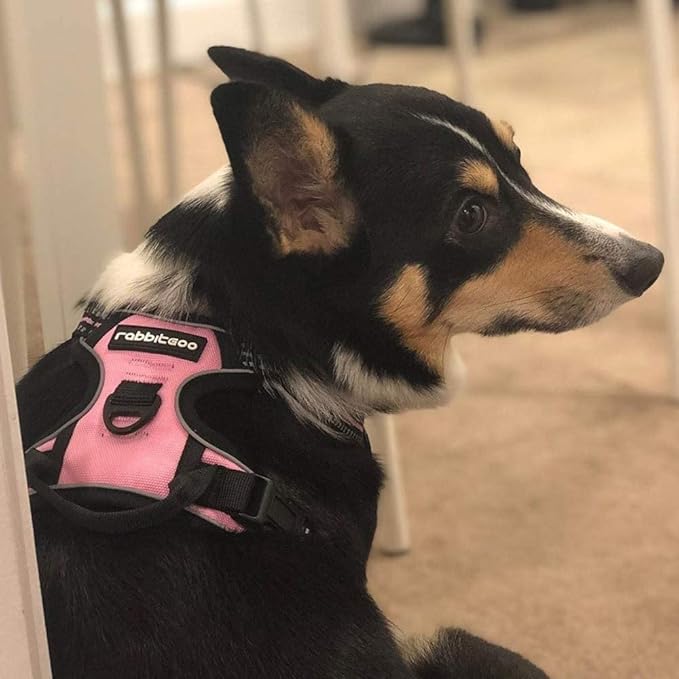 rabbitgoo Dog Harness, No-Pull Pet Harness with 2 Leash Clips, Adjustable Soft Padded Dog Vest, Reflective No-Choke Pet Oxford Vest with Easy Control Handle for Small Dogs, Pink, S - PAWPICO