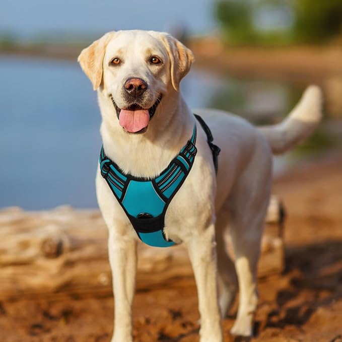 rabbitgoo Dog Harness No Pull with 2 Leash Clips, Adjustable Soft Padded, Reflective Oxford No Choke Pet Vest with Easy Control Handle for Large Dogs, Teal, XL rabbitgoo