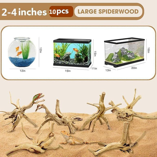 Natural Small Spiderwood Driftwood for Aquarium Decor Rptile Fish Tank Decoration Assort Branch 2-4'' 10 Pcs Jorewood