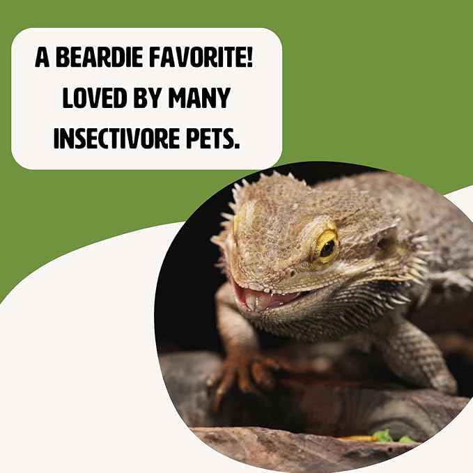 Fluker's Freeze Dried Grasshoppers, Nutrient-Packed, Ideal for Lizards, Reptiles, Birds, Fish, Hedgehogs, 1.7 oz Flukers