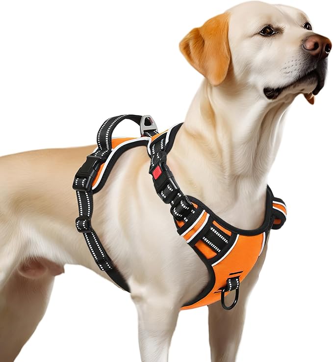 Timos Dog Harness Large Sized, No Pull Dog Harness with Neck Lockable Snap,No Choke Front Clip Dog Reflective Harness,Adjustable Metal Rings 3 Buckles,Easy Control Handle for Large Dogs Orange XL Timos