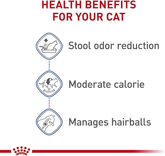 Royal Canin Indoor Adult Dry Cat Food, 15 lb bag - PAWPICO