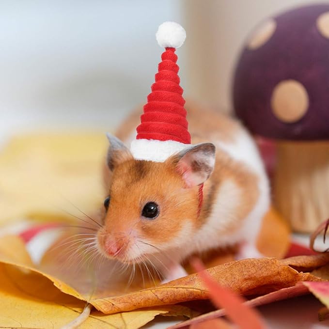 POPETPOP Small Pet Christmas Hat Hamster Santa Hat Birthday Party Cone Hat Holiday Costume Hat for Guinea Pig Hamster Squirrel Chinchilla Gerbil POPETPOP