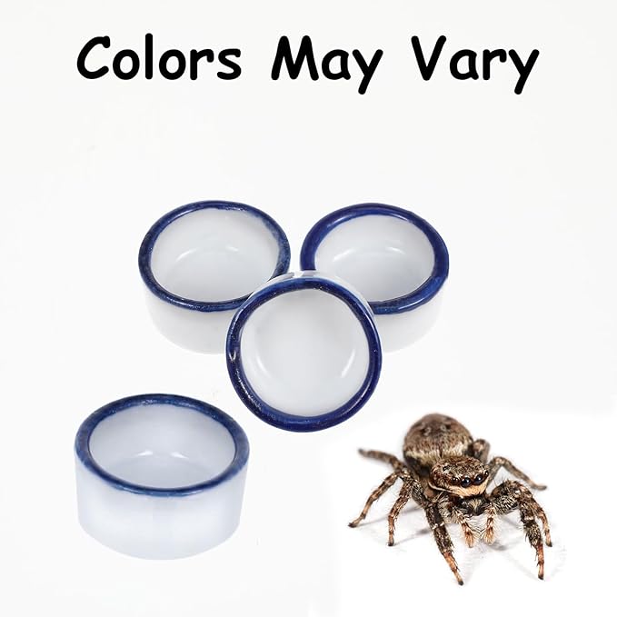 6 Pcs Spider Mini Water Bowl Tarantula Micro Ceramic Water Dish for Spider Tarantula Millipede Tiny Reptile Scorpion Cricket Snail Manti Bugs PAWPICO