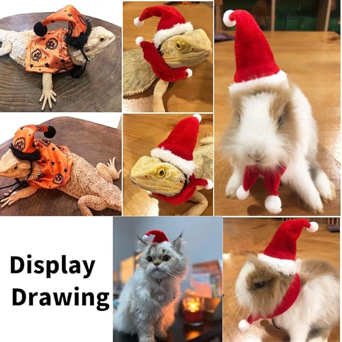 Bearded Dragon Halloween Hat Cloak Lizard Clothes Christmas Hat Scarf Set, Small Animal Halloween Christmas Festival Costume (red and Orange) KUNBIUH