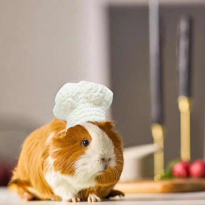 Guinea Pig Chef Hat - Hand Knitted Small Animal Cooking Chef Cap with Adjustable Strap Halloween Costume Outfit Prop Clothes Accessories for Rabbit Bunny Chinchilla Kitten Puppy (Medium) SEZDEKI