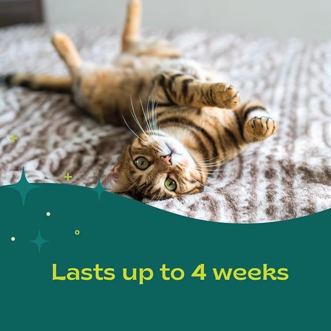 Pheromone Calming Collar for Cats Up to 30 Days Stress Relief Promotes Calmness, Reduces Hiding, Excessive Meowing, Urine Marking, Aggression, Travel Stress Drug-Free, Vet-Tested bSereneCalmingforCatsandDogs