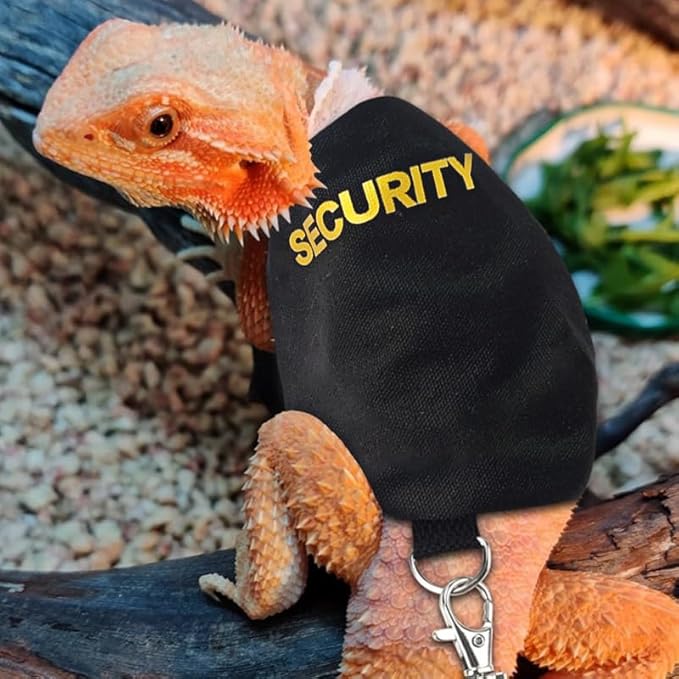 Bearded Dragon Leash and Harness Set, Adjustable Lizard Reptile Leashes Bearded Dragon Rope Accessories for Bearded Dragon Lizard Small Pets Outdoor Safety Walking(Security Character) HOKABLE