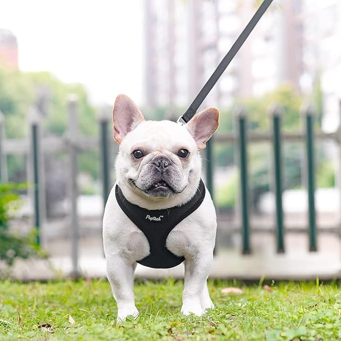PUPTECK Soft Mesh Dog Harness and Leash Set Pet Puppy Cat Comfort Padded Vest No Pull Harnesses, Solid Black, S PUPTECK