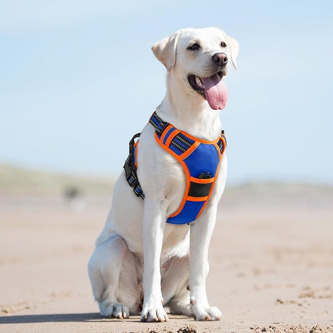Eagloo Dog Harness for Large Dogs, No Pull Service Vest with Reflective Strips and Control Handle, Adjustable and Comfortable for Easy Walking, No Choke Harness with 2 Metal Rings, Blue & Orange, L GoExplorewithEagloo