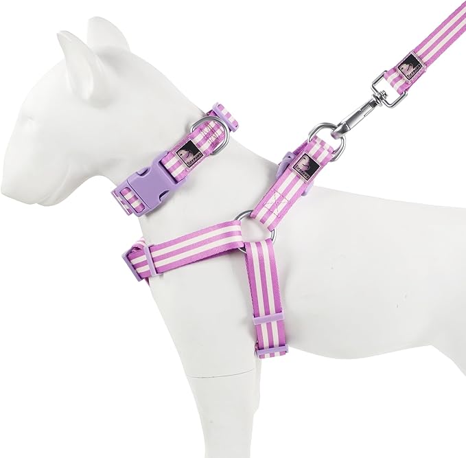 Striped Dog Harness Collar and Leash Set, Polyester Webbing Dog Collar Easy Walking and Training Dog Harness and Leash 3-in-1 Suit Adjustable Dog Harness Collar Leash Set for Dogs(Purple, M) Tiffpaws